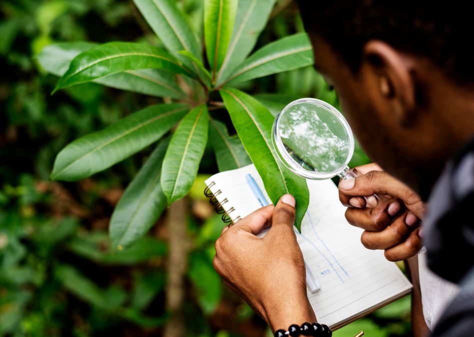 Consultoria Ambiental